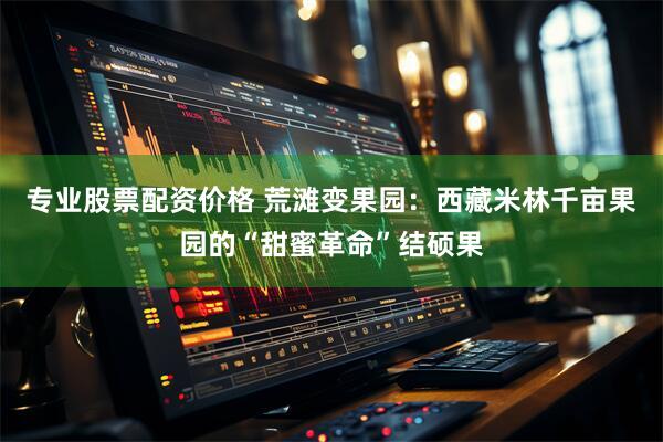 专业股票配资价格 荒滩变果园：西藏米林千亩果园的“甜蜜革命”结硕果